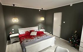 Luxury Apartment